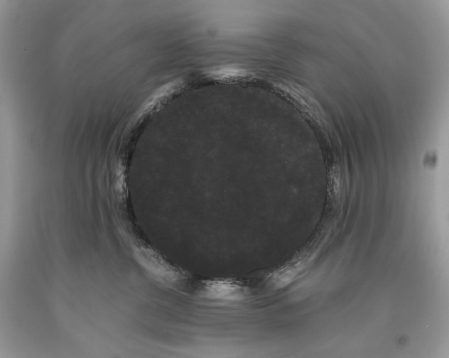 X0000093460380200710261026