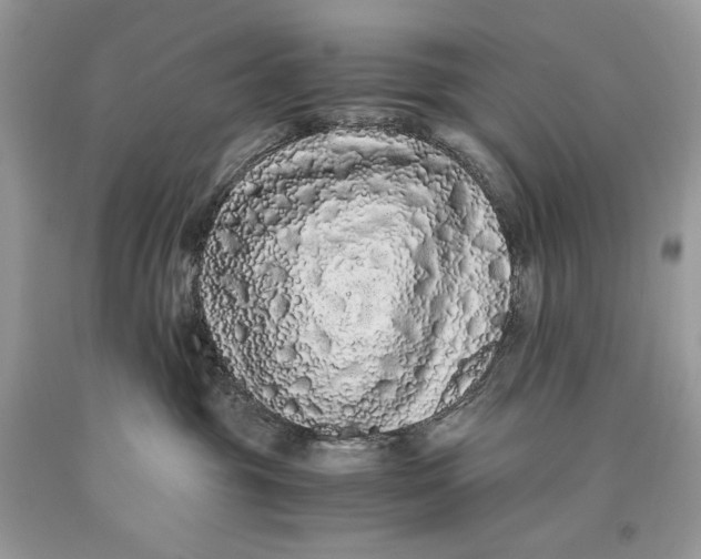 X0000093460381200710261026