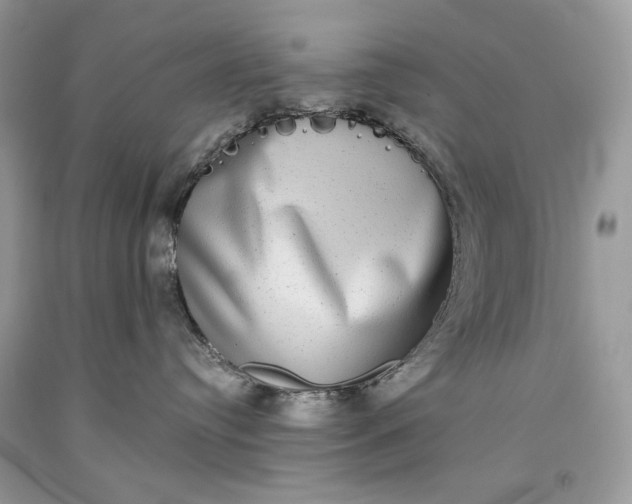 X0000093460384200710261026