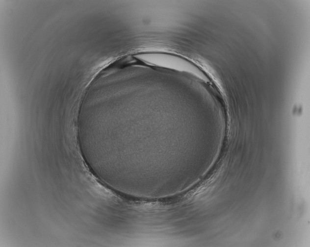 X0000093460385200710261025