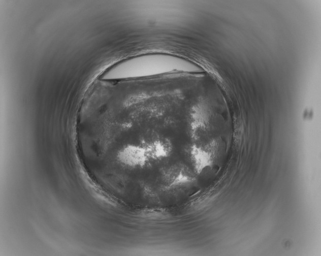 X0000093460386200710261025