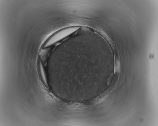 X0000093460387200710261025