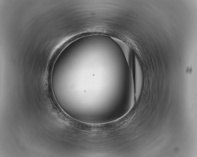 X0000093460388200710261025