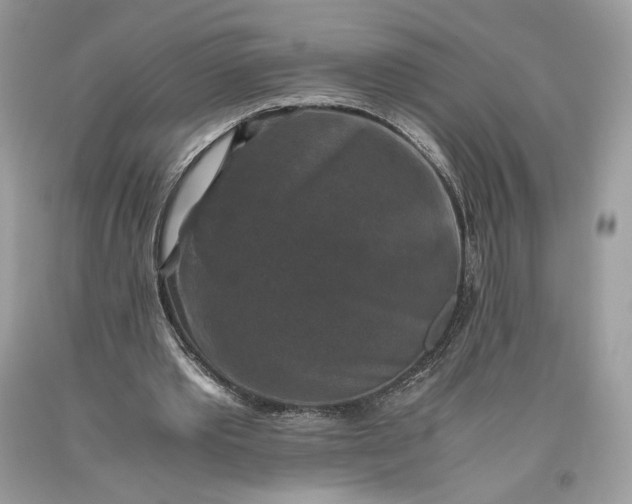 X0000093460389200710261025