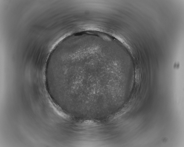 X0000093460390200710261025