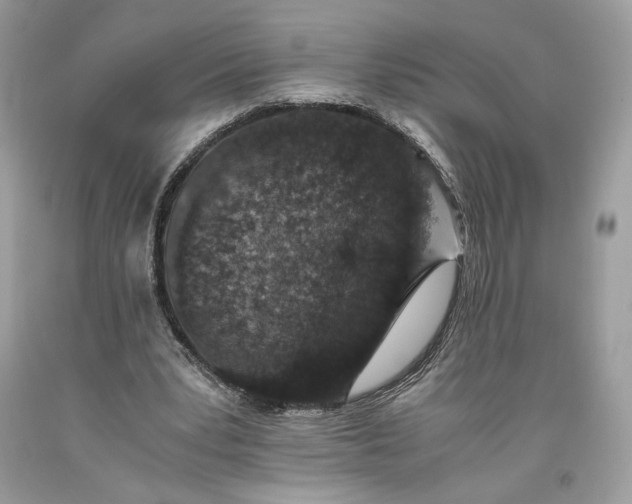 X0000093460391200710261025