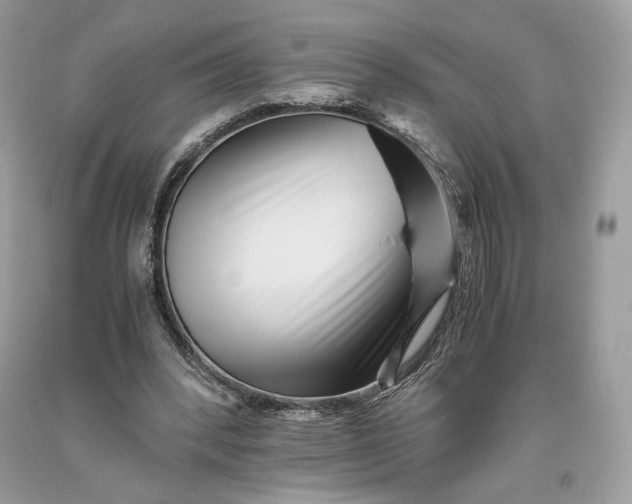 X0000093460392200710261025