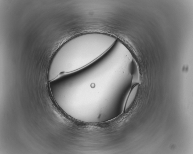 X0000093460393200710261025