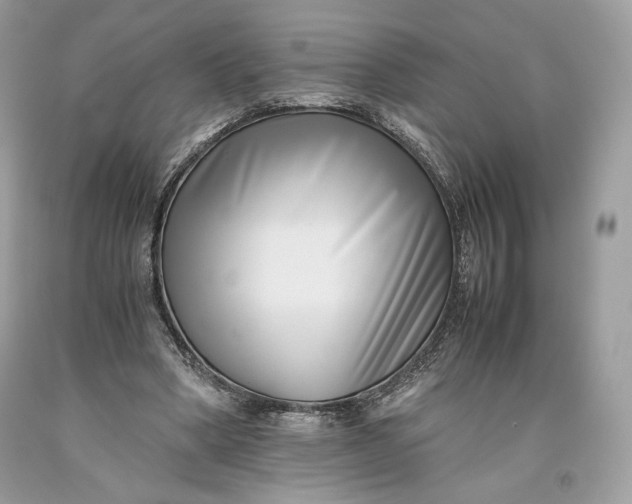 X0000093460394200710261025