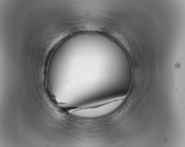 X0000093460395200710261025