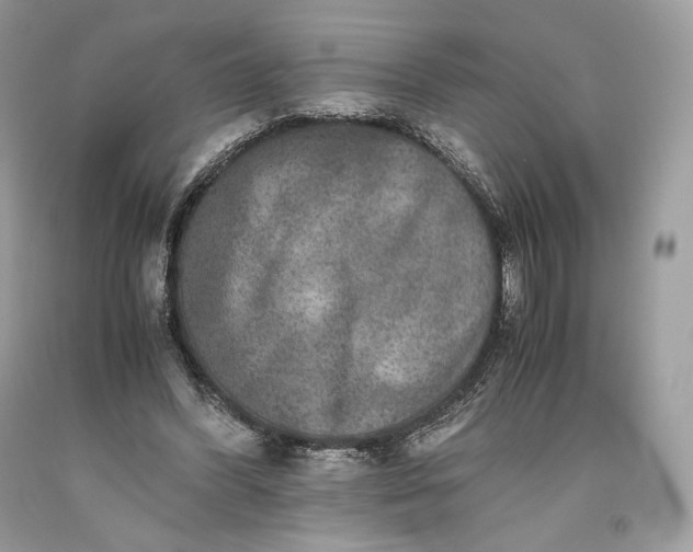 X0000093460396200710261025