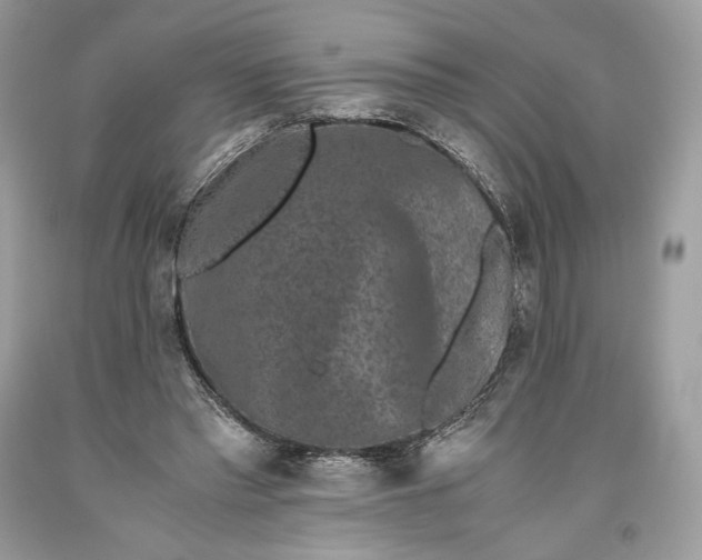 X0000093460397200710261025