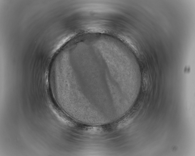 X0000093460398200710261025