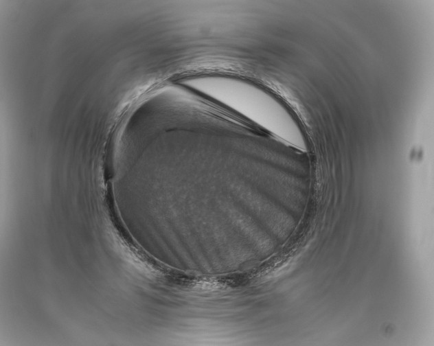 X0000093460399200710261025