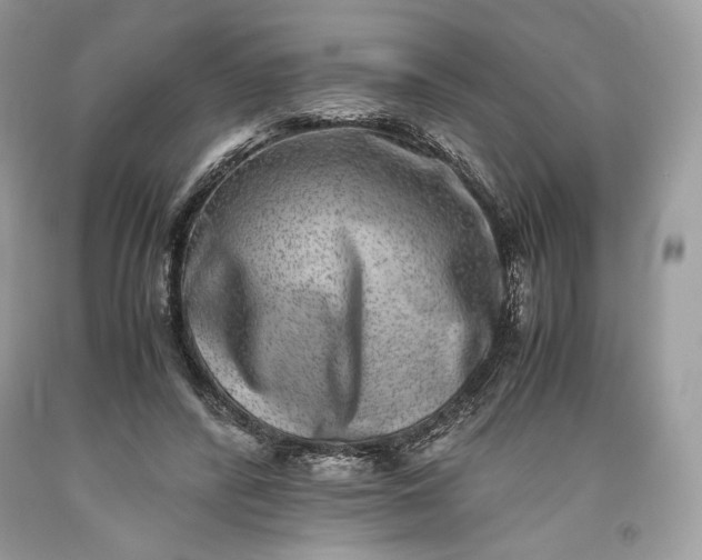 X0000093460400200710261025