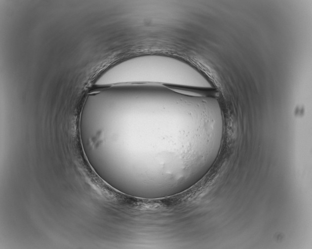 X0000093460401200710261025