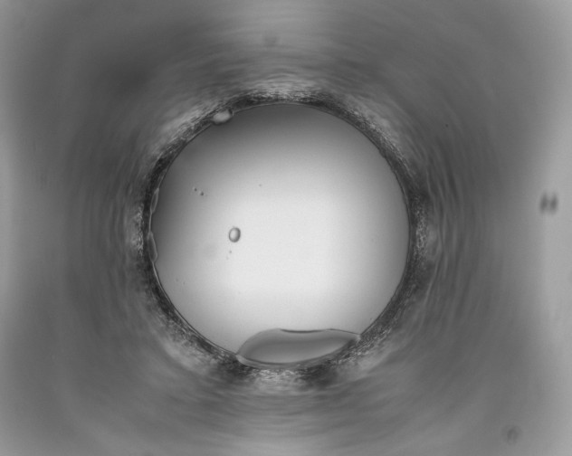 X0000093460403200710261025