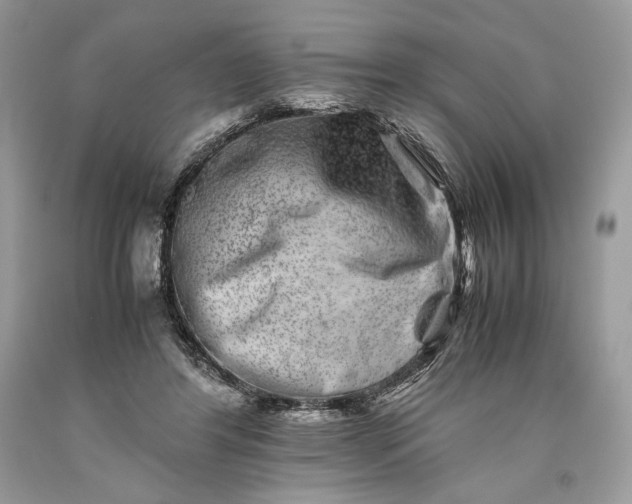 X0000093460404200710261025