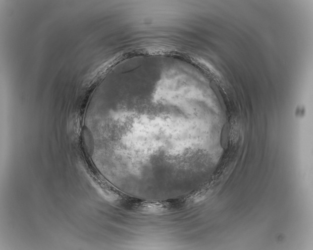 X0000093460405200710261025