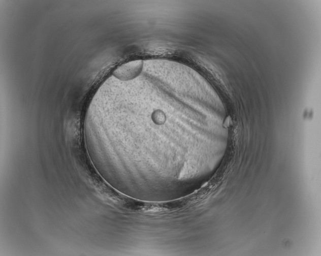 X0000093460407200710261025