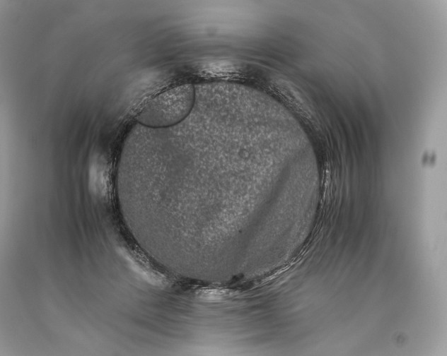 X0000093460408200710261025