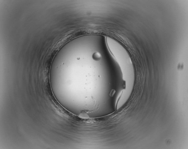 X0000093460409200710261025