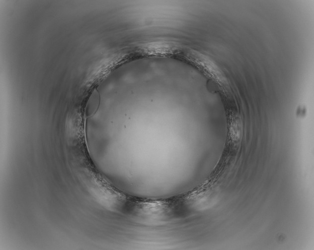 X0000093460411200710261025