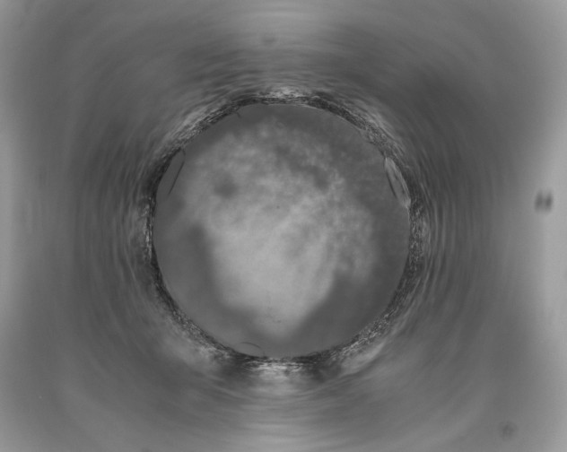 X0000093460415200710261025