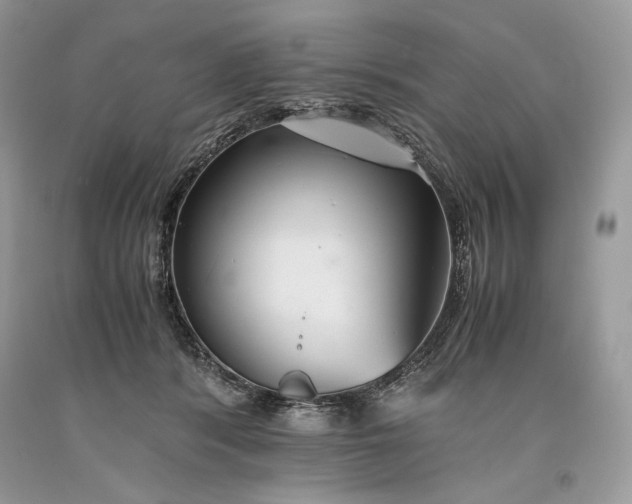 X0000093460416200710261025