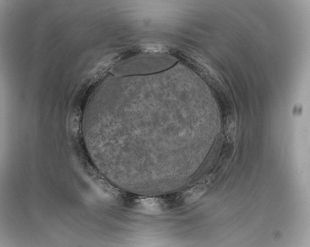 X0000093460417200710261025