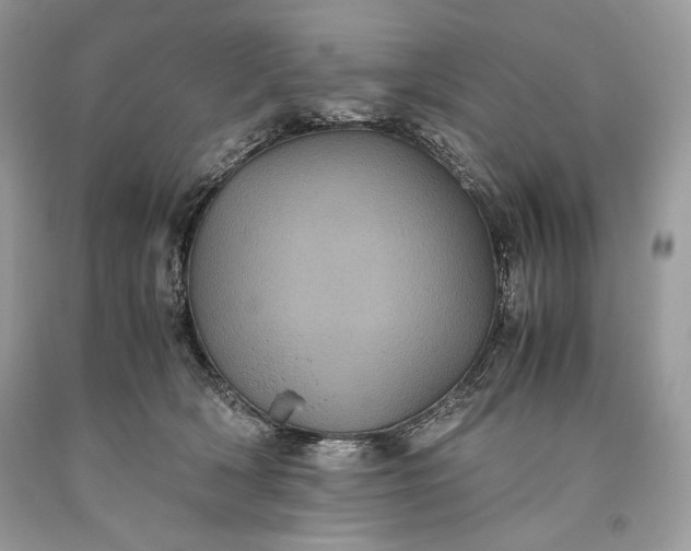 X0000093460418200710261025