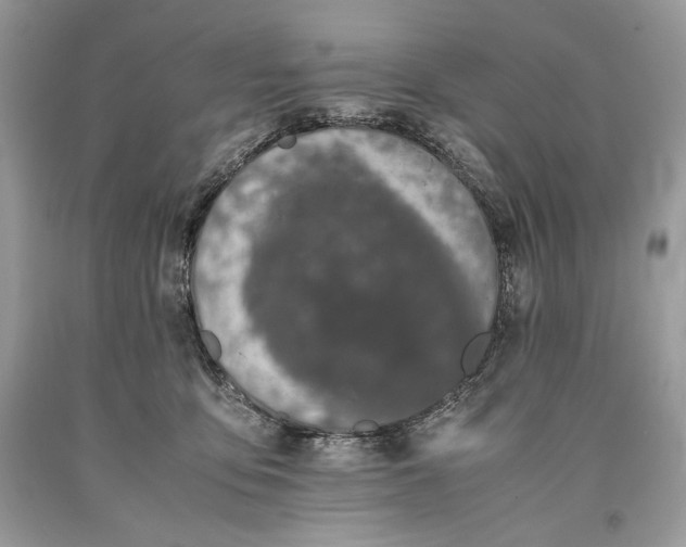 X0000093460419200710261025