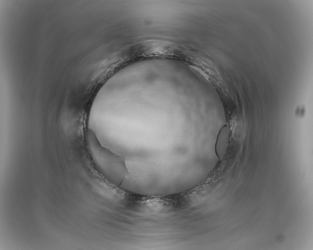 X0000093460423200710261025