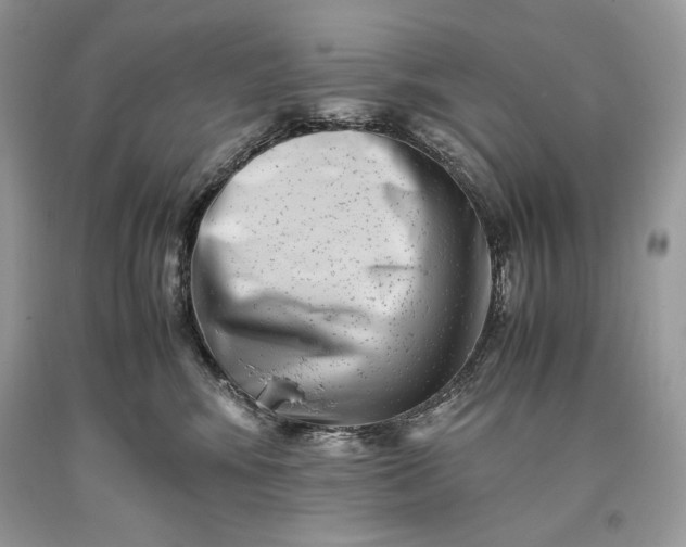 X0000093460424200710261025