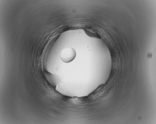 X0000093460425200710261025