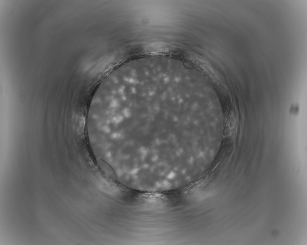 X0000093460427200710261025