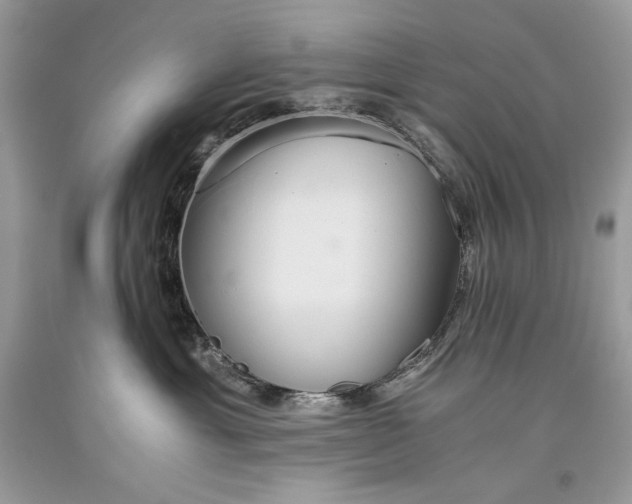 X0000093460429200710261024