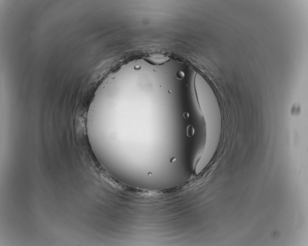 X0000093460432200710261024