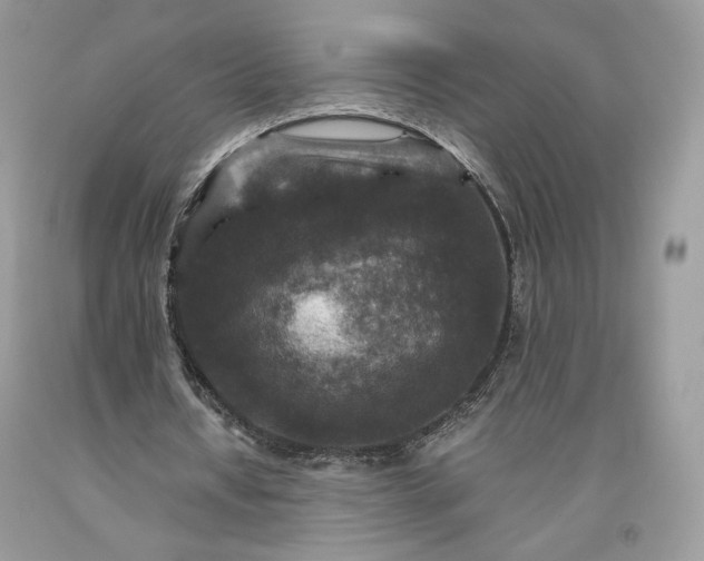 X0000093460434200710261024