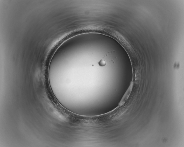 X0000093460436200710261024