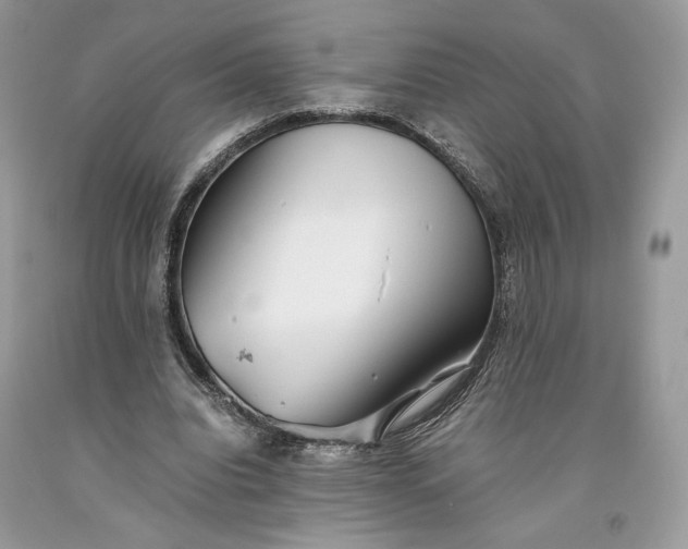 X0000093460440200710261024