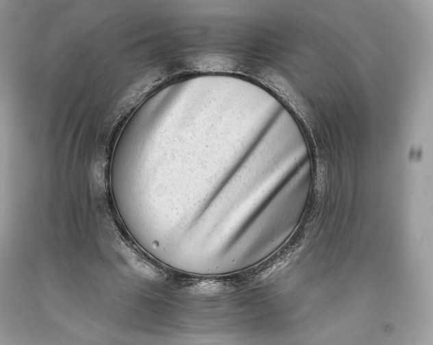 X0000093460441200710261024