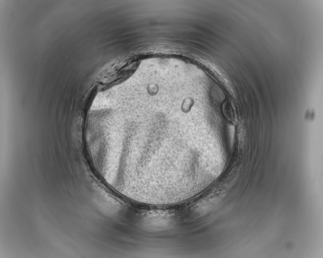 X0000093460445200710261024