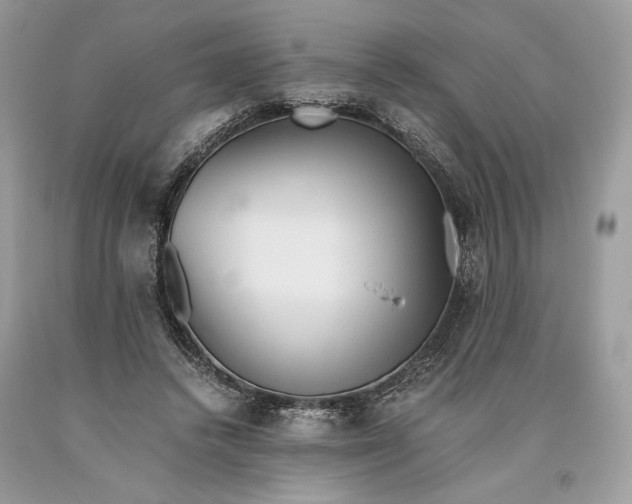 X0000093460448200710261024