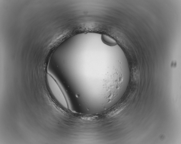 X0000093460450200710261024