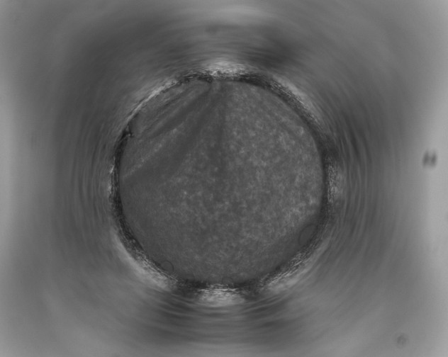 X0000093460451200710261024