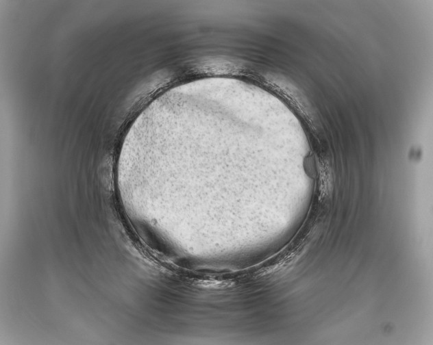 X0000093460453200710261024