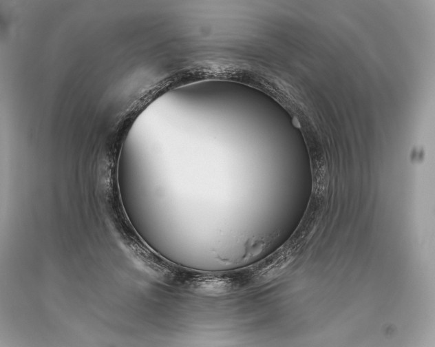 X0000093460456200710261024