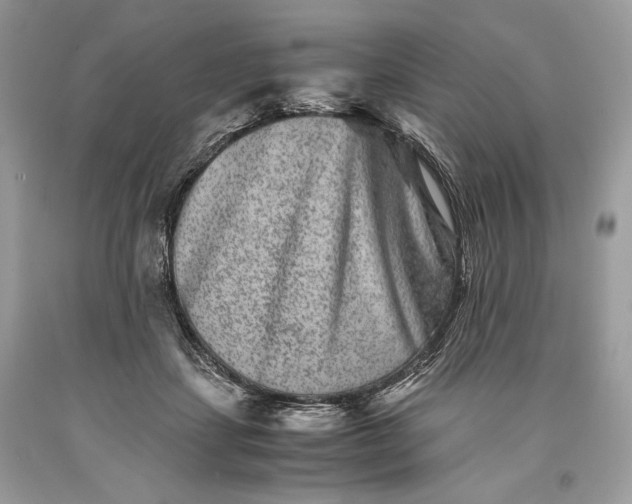 X0000093460459200710261024