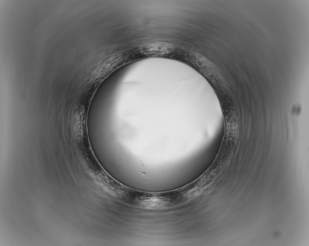 X0000093460460200710261024